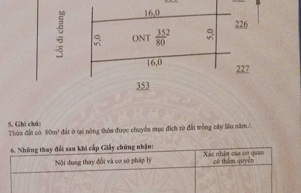 Bán Nhanh Lô Đất 100M² Mặt Biển Quất Lâm, Nhỉnh 1.8 Tỷ. Sổ Đỏ Sẵn Giao Dịch Ngay Vị Trí Đắc Địa: