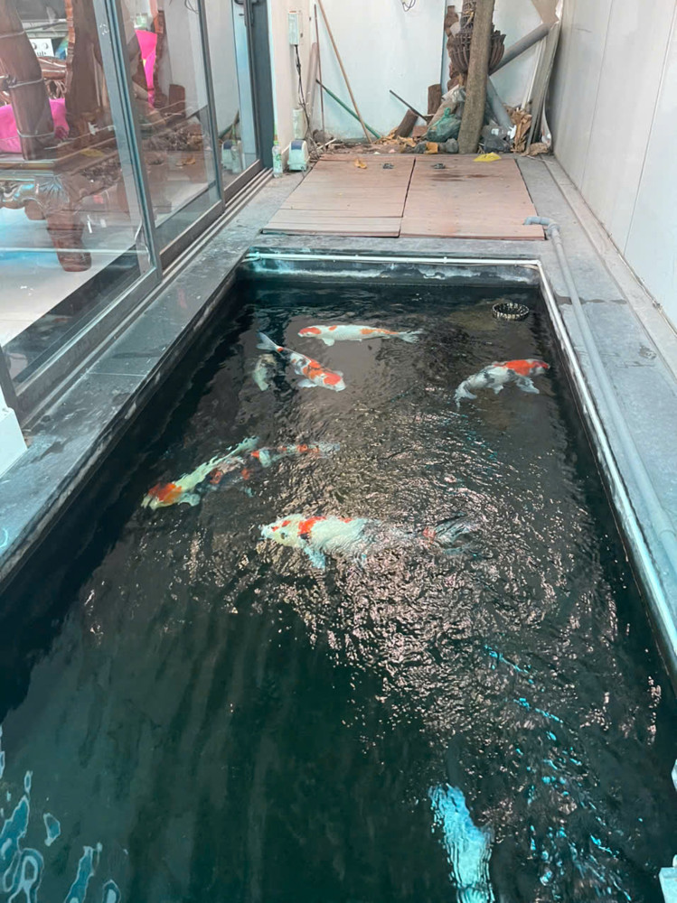 Mặt Tiền Trung Mỹ – Ngang 10M – 2 Lầu – Đang Cho Thuê – Chỉ 15 Tỷ