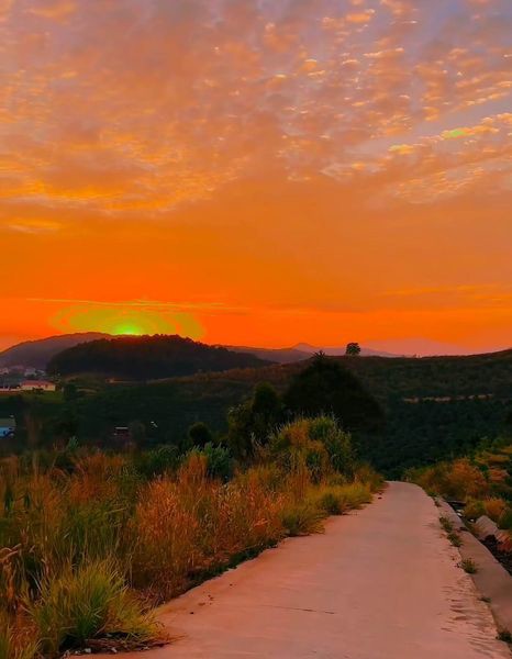 Cần Bán Đất Cao Thắng Qh Full Xây Dựng Diện Tích 305Mqh Đương 10 M