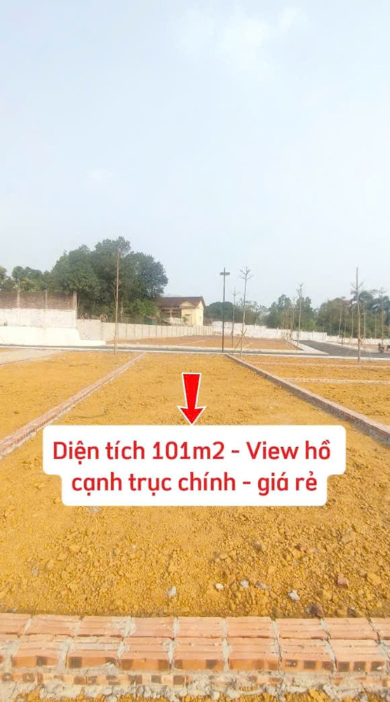 Chủ Nhà Bán Gấp Trả Nợ 101M2 Đất Hà Nội Cạnh Hồ Cực Chill Gần Đhqg Hà Nội Giá Đầu Tư