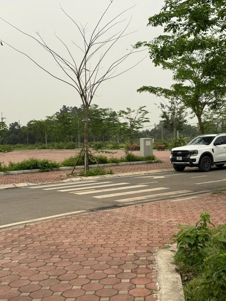 Bí Mật Lô Đất 100M2 Gần Quốc Lộ 21, Khu Vực Trung Tâm Hòa Lạc. Phù Hợp Xây Trọ, Đầu Tư Sinh Lời,