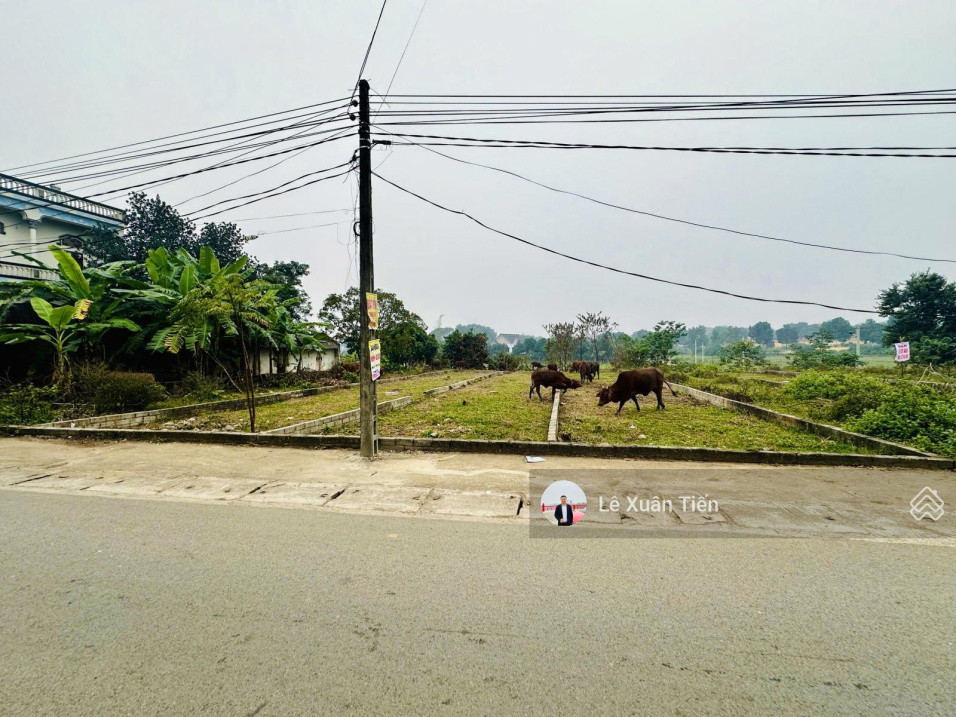 Đất Kinh Doanh Vị Trí Vàng Đồng Trạng, Hoà Lạc - Chỉ 36Tr/m²