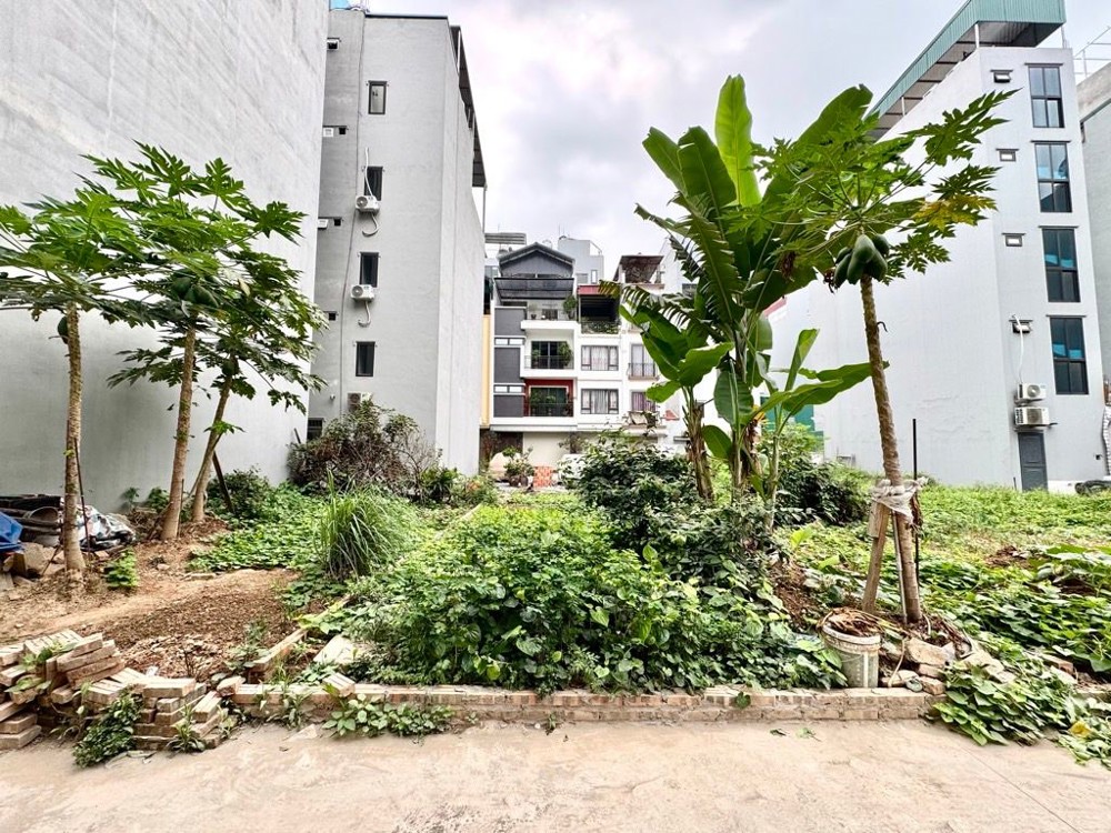 Bán Đất Tdc Ngọc Thuỵ 50M X 5M Oto Tránh Thông Kinh Doanh