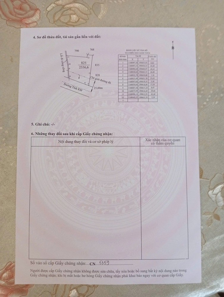 Chính Chủ Cần Bán Gấp Đất Thổ Cư - Diện Tích Lớn Mặt Tiền Huyện Cần Đước, Long An