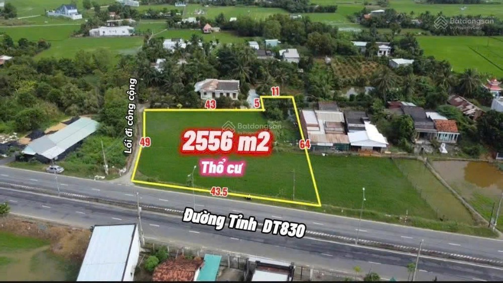 Chính Chủ Cần Bán Gấp Đất Thổ Cư - Diện Tích Lớn Mặt Tiền Huyện Cần Đước, Long An