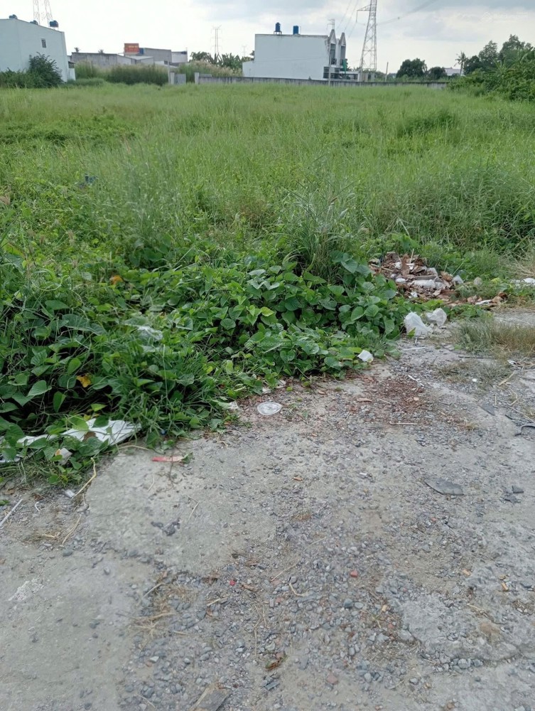 Chính Chủ Cần Bán Gấp Đất Thổ Cư - Diện Tích Lớn Mặt Tiền Huyện Cần Đước, Long An