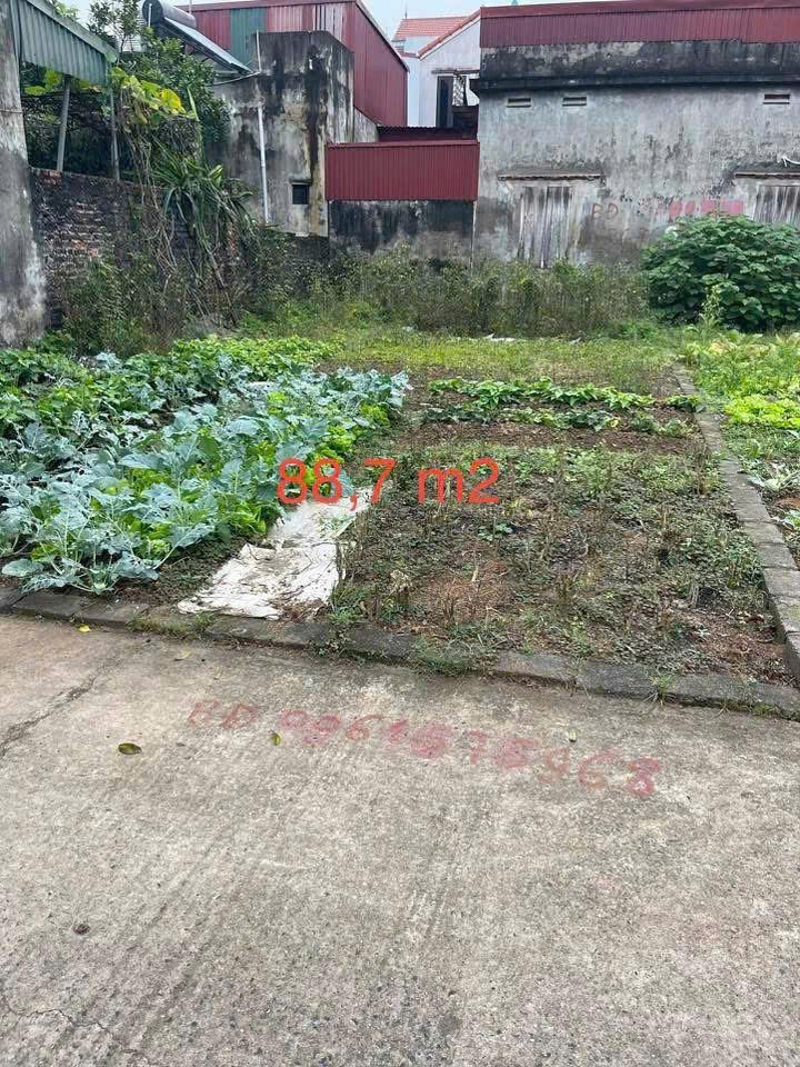 Bám Trục Cienco5- Chính Chủ Gửi Bán Đất Tại Trung Lập, Tri Trung, Huyện Phú Xuyên, Tp. Hà Nội