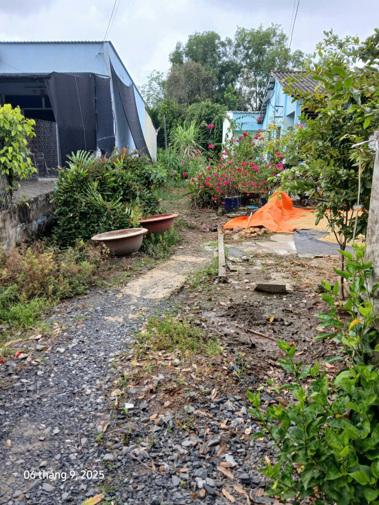 Bán Đất Mặt Tiền Đường Kinh Doanh (5×36m) 178M2. Có 133M Thổ Cư - Đường Nhựa Lớn 2 Xe Tải Tránh