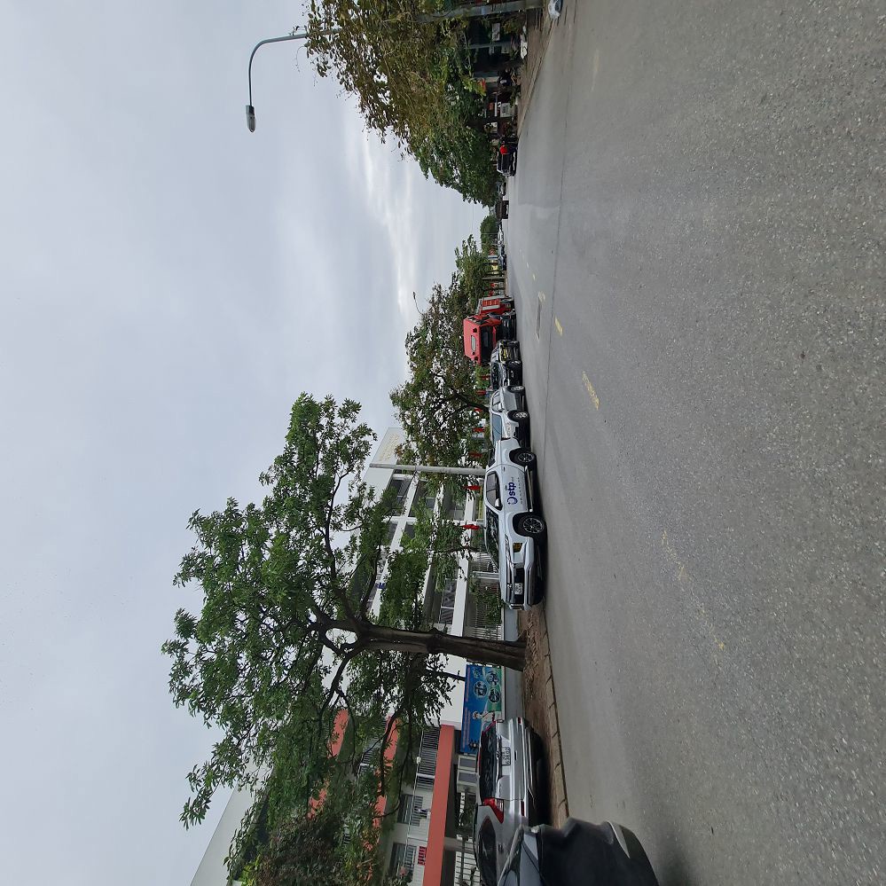 62M2 Tđc Trâu Quỳ – Mt 4M – Đường 13M – View Vườn Hoa – 11 Tỷ X 0989894845