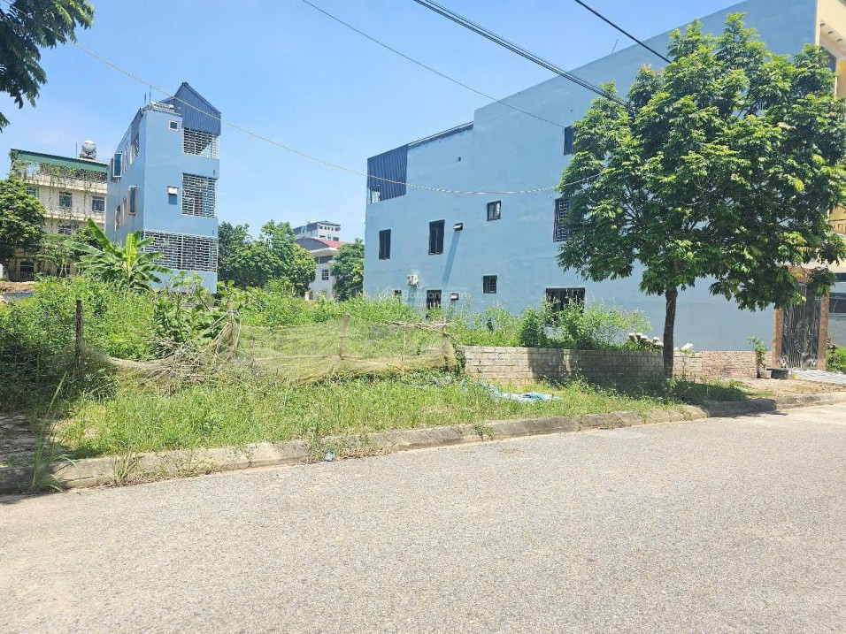 Cắt Lỗ Gấp - Đầu Tư Giá Tốt Tại Phú Cát