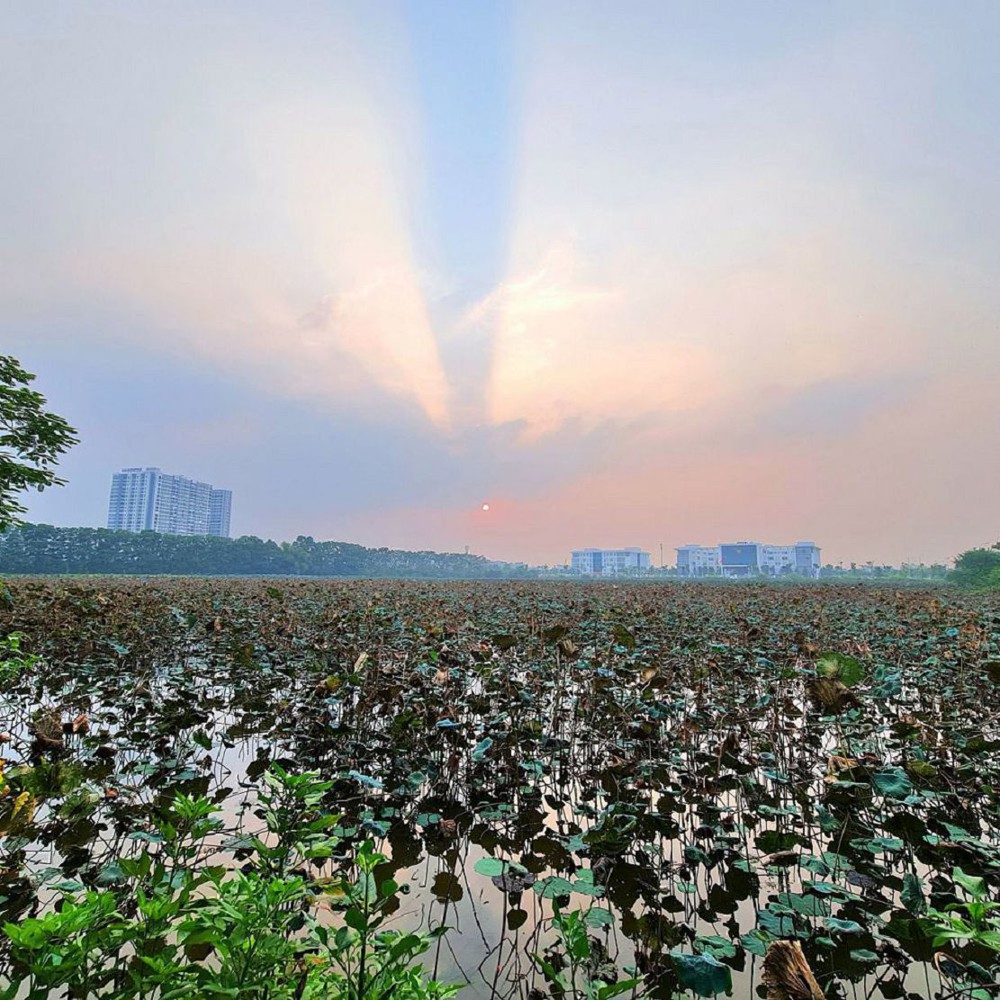 Bán Đất Trung Tâm Trâu Quỳ Gia Lâm 36M2 Đường 22M Kinh Doanh Tốt Giá 7 Tỷ X Lh 0989894845