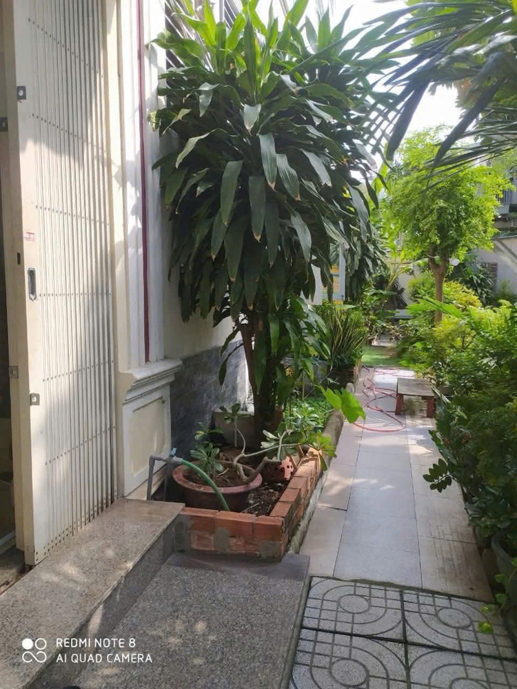 Mặt Tiền Tân Xuân – Tô Ký – 5X25m – Nhà 3 Tầng + Sân Vườn – Chỉ 8.8 Tỷ