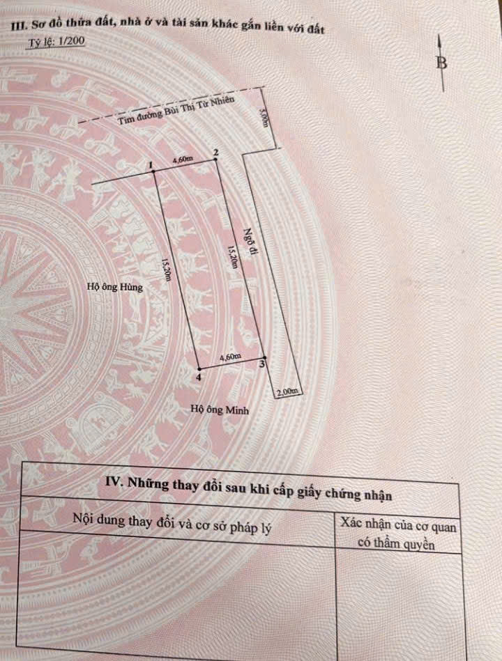 Bán Nhà Mặt Đường Bùi Thị Từ Nhiên - 70M - Mặt Tiền 4.6M - Lô Góc