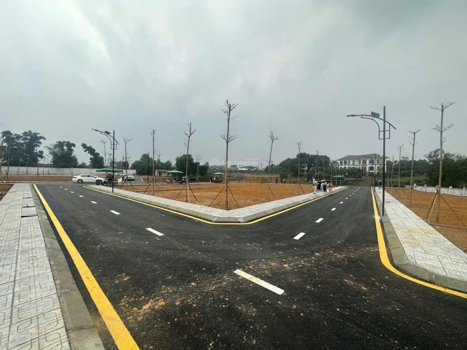 Cơ Hội Có Một Không Hai: Sở Hữu Ngay Lô Đất Với Mức Giá Không Tưởng!