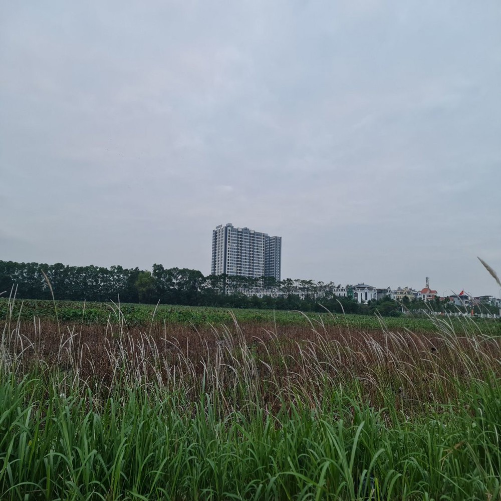 Bán Shophouse 78M2 5 Tầng Mặt Đường 25M Tại Trâu Quỳ Giá 20 Tỷ X Lh 0989894845