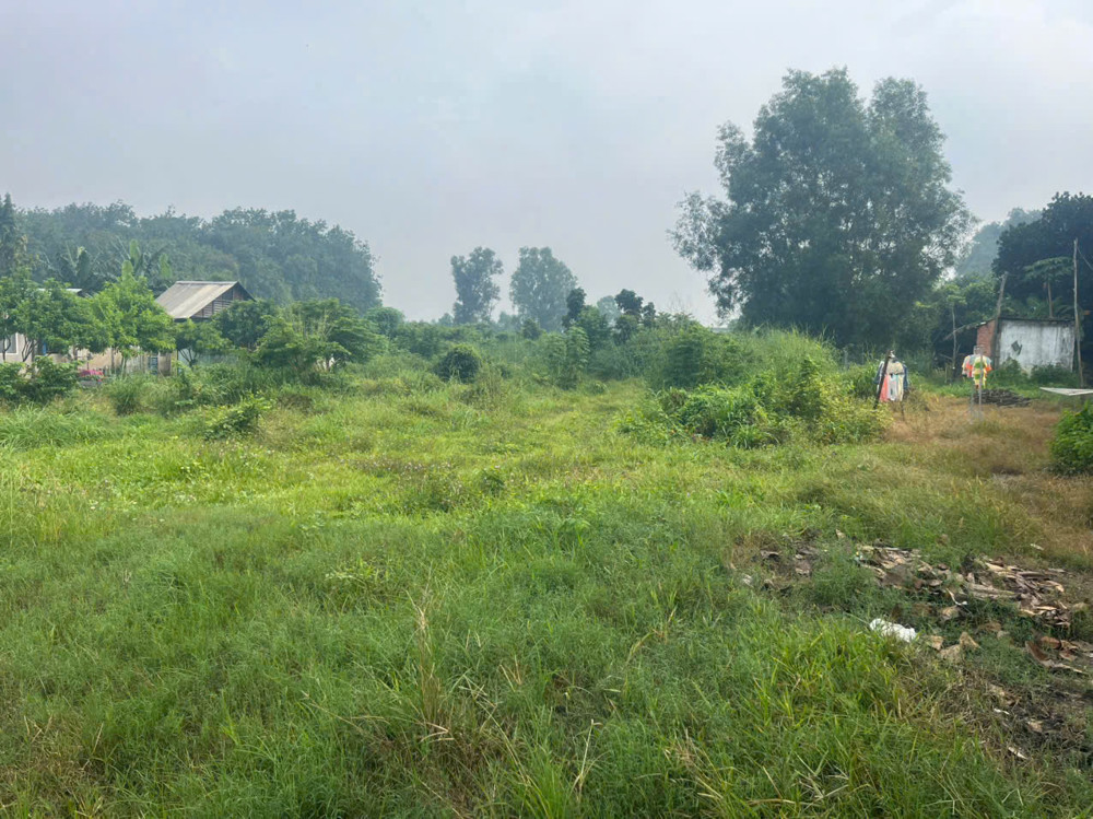 Siêu Phẩm 2 Mặt Tiền Tỉnh Lộ 15 – 2.500M² – Kinh Doanh Đỉnh Cao Củ Chi