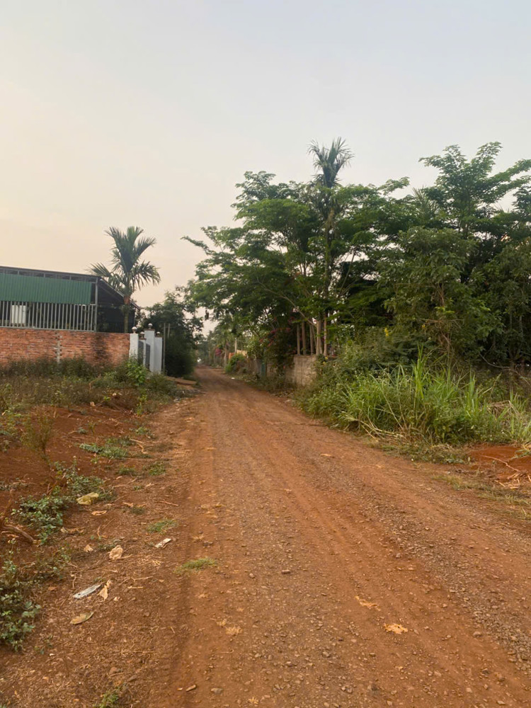 Đất Đẹp- Giá Tốt Chính Chủ Cần Bán Nhanh Lô Đất Hoàng Quốc Việt, Phường Buôn Hồ , Tỉnh Đăk Lăk