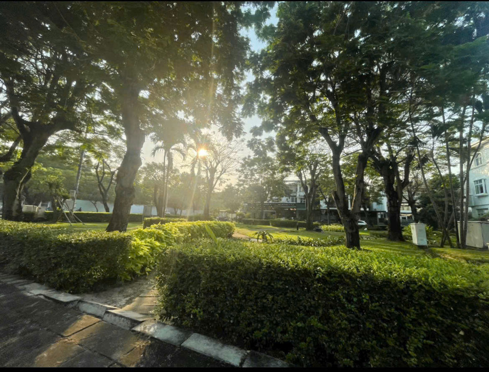 Bán 2 Lô Đất Vị Trí Đẹp Quận 7 – Cơ Hội Đầu Tư Hiếm Có