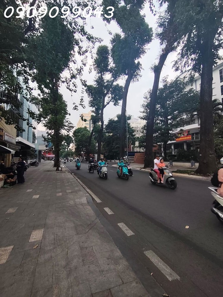 Siêu Phẩm Mt Mạc Đĩnh Chi – Q1, Khu Lõi Trung Tâm