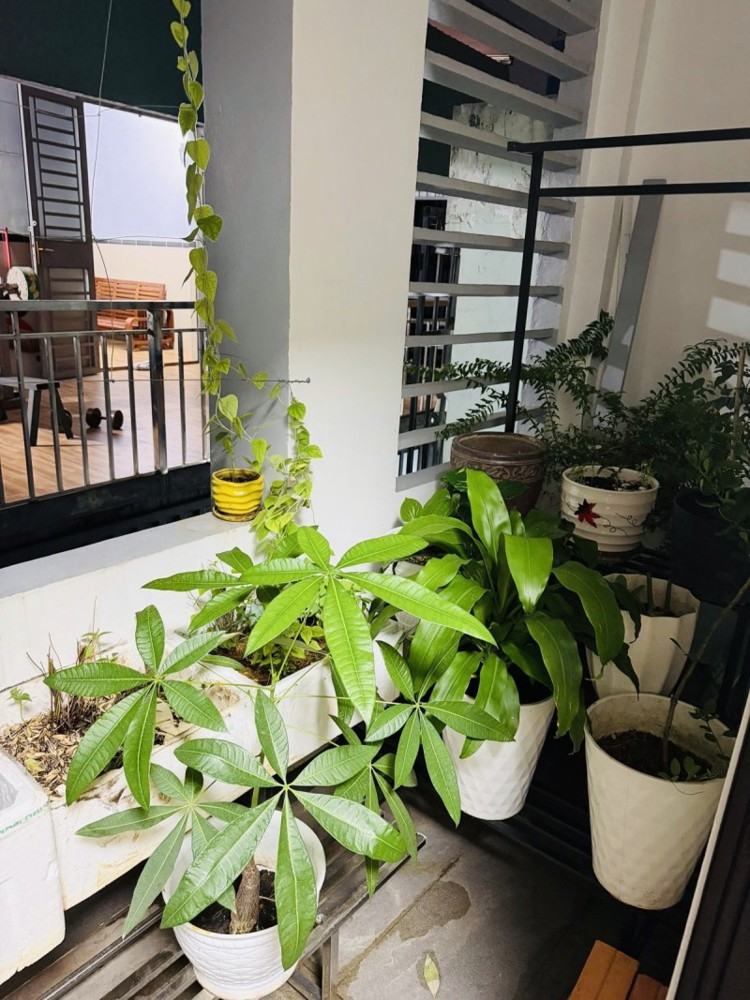 Bán Nhà Đường Số 9, Phường Trường Thọ, Thủ Đức, Tp Hcm. Dt 60M2, 2 Lầu. Giá 4.5 Tỷ, Sổ Hồng