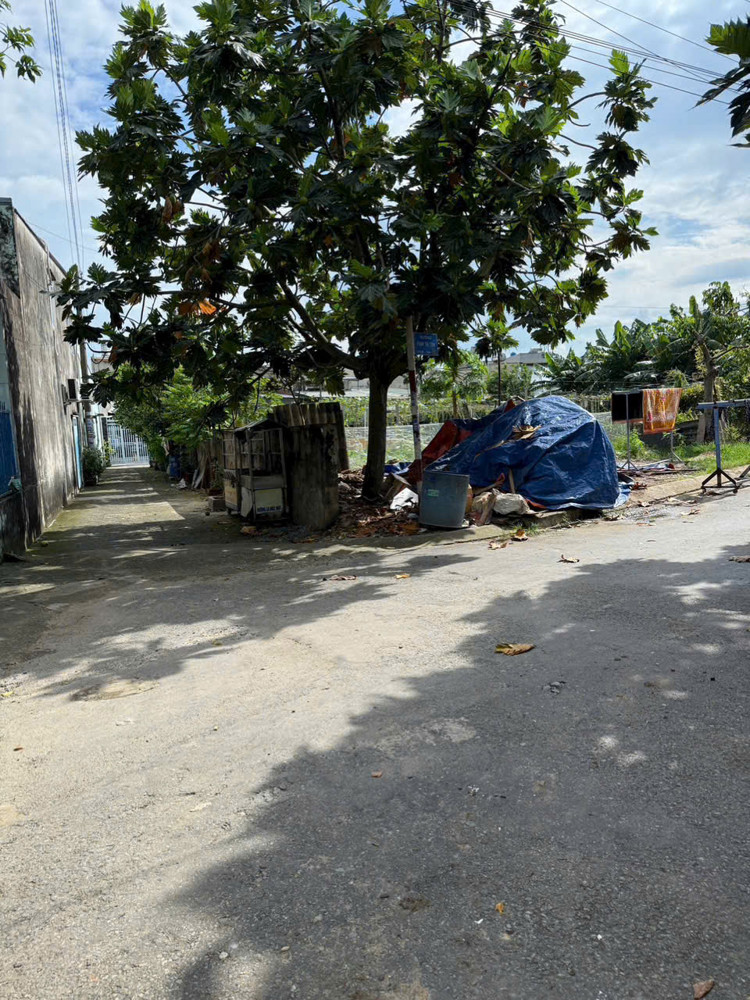 Góc 2 Mặt Tiền Hóc Môn – Đối Diện Trường Tam Đông – Dòng Tiền Sẵn