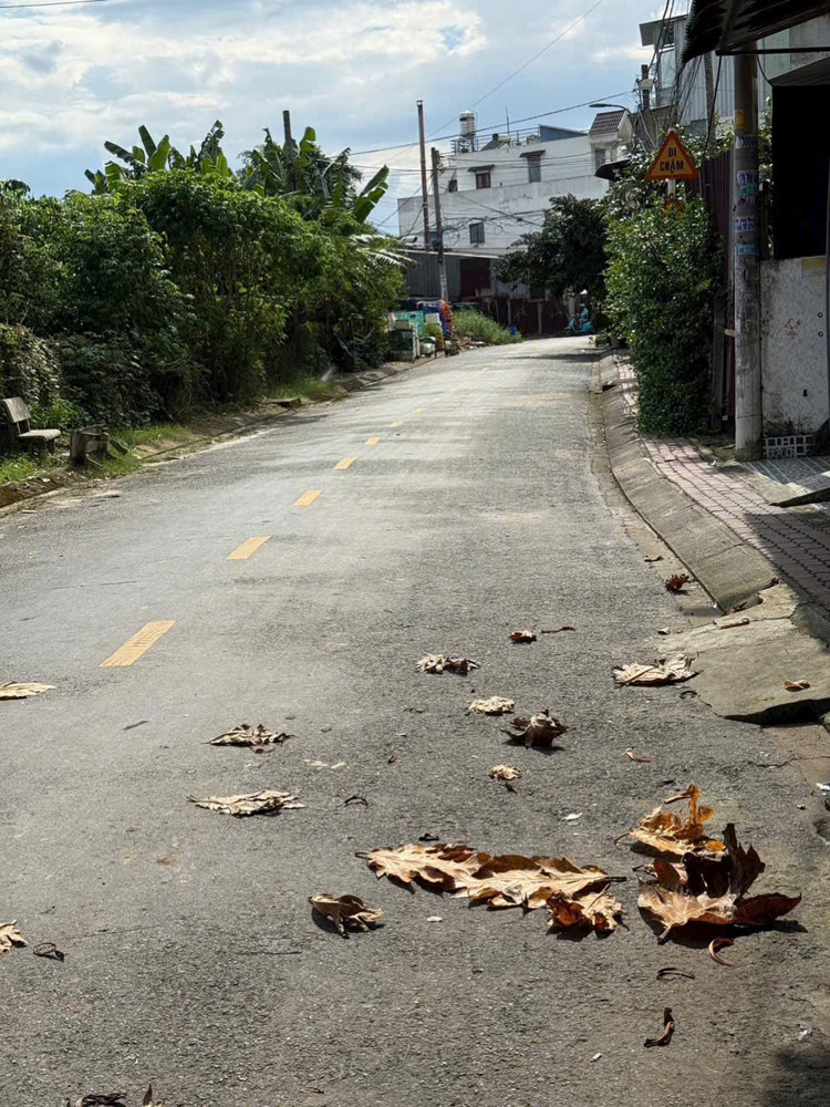 Góc 2 Mặt Tiền Hóc Môn – Đối Diện Trường Tam Đông – Dòng Tiền Sẵn