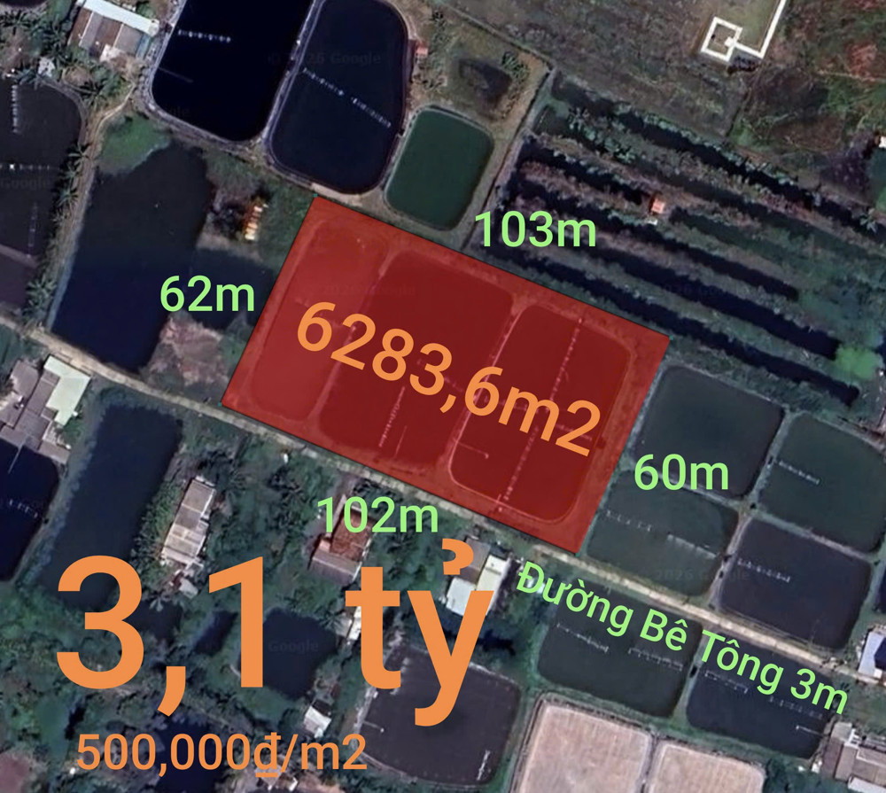 Bán Gấp Lô Lúa Chuyển Thổ Phân Lô Giá Đầu Tư 3,1 Tỷ