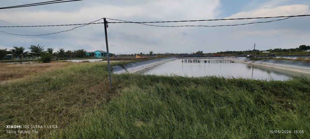 Bán Gấp Lô Lúa Chuyển Thổ Phân Lô Giá Đầu Tư 3,1 Tỷ