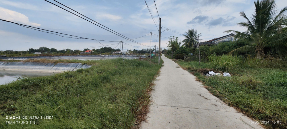 Bán Gấp Lô Lúa Chuyển Thổ Phân Lô Giá Đầu Tư 3,1 Tỷ