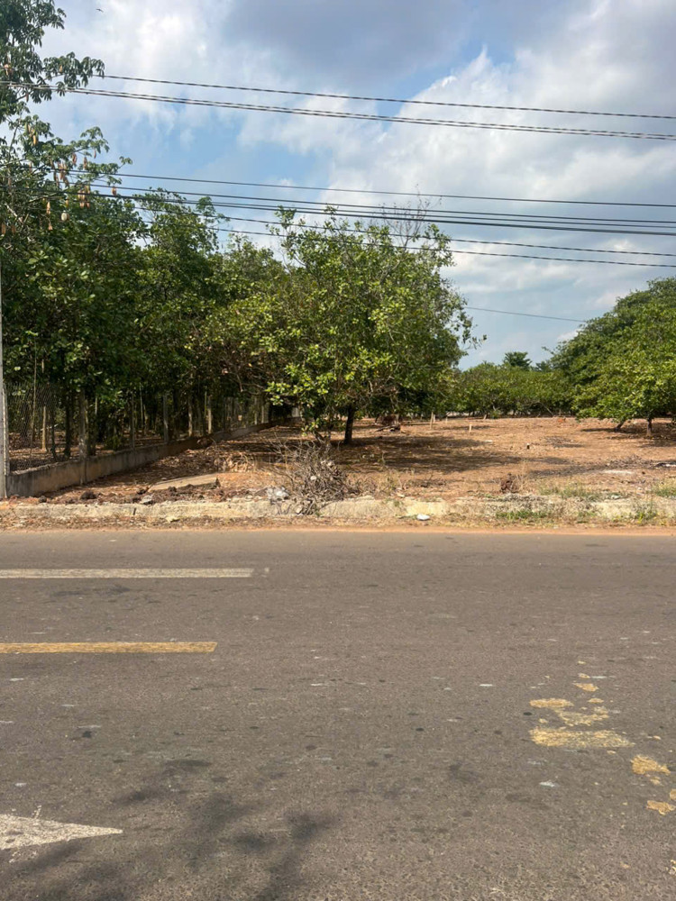 Bán Đất Mt Nhựa Xuân Hiệp-Tân Tiến, Xuân Lộc. Đồng Nai. Giá 3.25Ty. Lh 0984488048