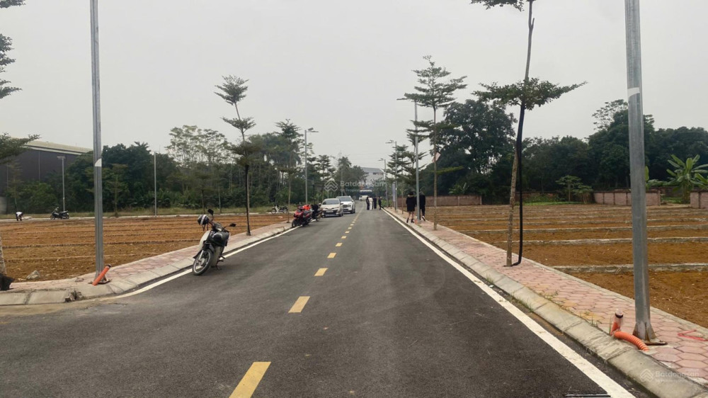 Giá Sốc Chủ Nhà Cần Tiền Cắt Lỗ Lô Đất Phú Cát Gần Đhqg, Fpt. Dt 104.6M2 Full Thổ Cư, Sẵn Sổ