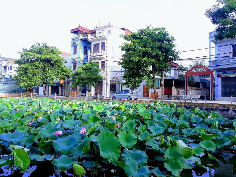 Bán Nhà Riêng 48,5M2, 5,15 Tỷ Tại Xã Đại Áng, Huyện Thanh Trì, Hà Nội