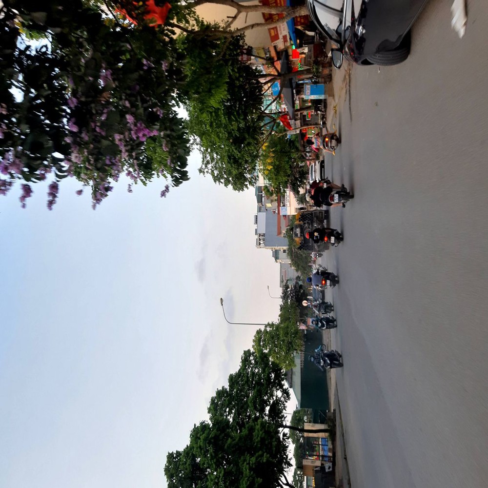 60M2 Trâu Quỳ Gia Lâm Cạnh Học Viện Nông Nghiệp Ngõ 3M Chỉ 8 Tỷ X. Lh 0989894845