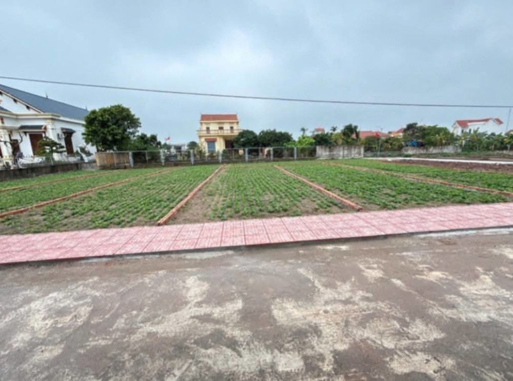 Nhỉnh 1Tỷ/lô Đất Biển – Kề Cận Khu Kinh Tế Ninh Cơ - Nam Định: Phân Ô Bàn Cờ, Sẵn Sổ. Lh: 0981691509