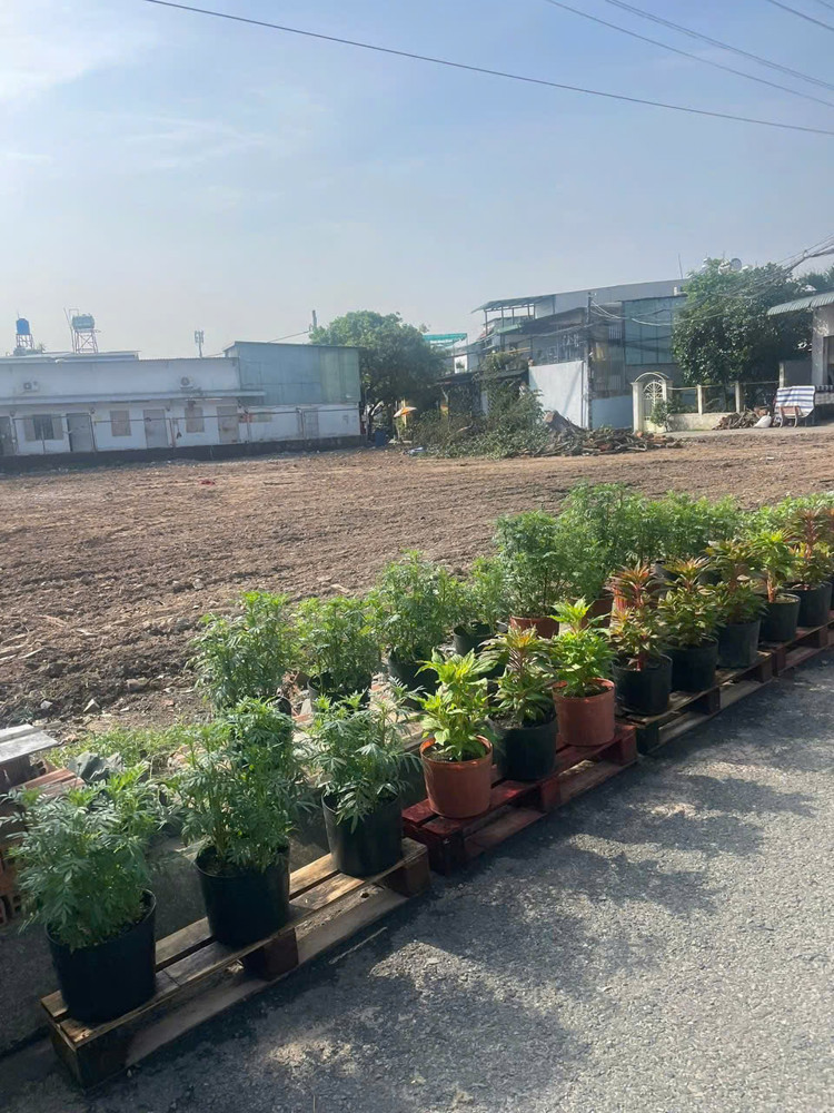 Hàng Fo Mới Ra Lò Đất 125M Mt Giá Chỉ 3.75 Tỷ – Quá Hiếm