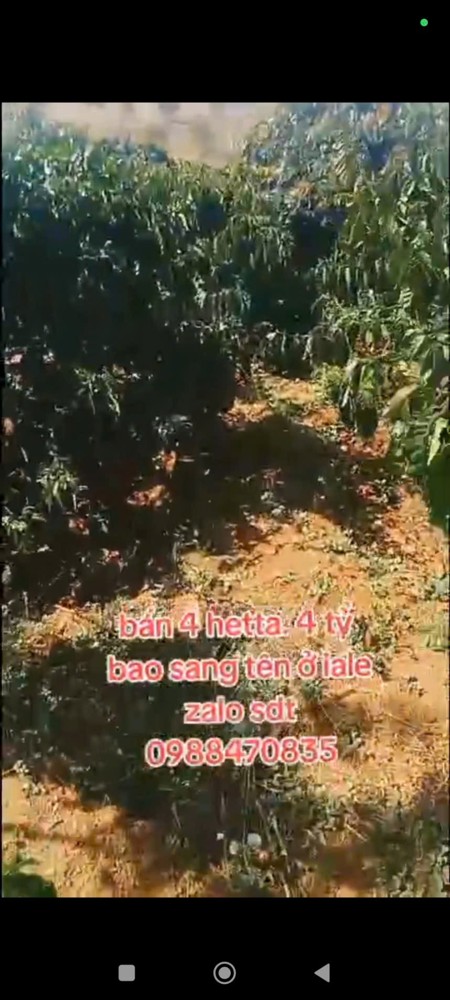 Đất Đẹp – Giá Tốt – Cần Bán Gấp Lô Đất Vị Trí Đẹptại – Ia Le – Huyện Chư Pưh – Tỉnh Gia Lai