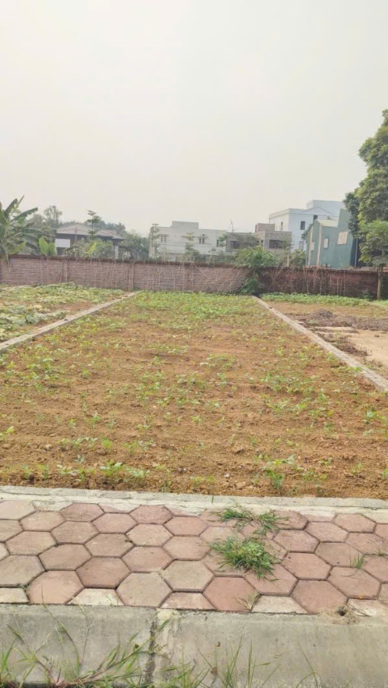 Bán Gấp 3 Lô Duy Nhất 300M2 Sát Tỉnh Lộ 446 Cạnh Ngã Tư Vai Réo Đầu Tư Sinh Lời