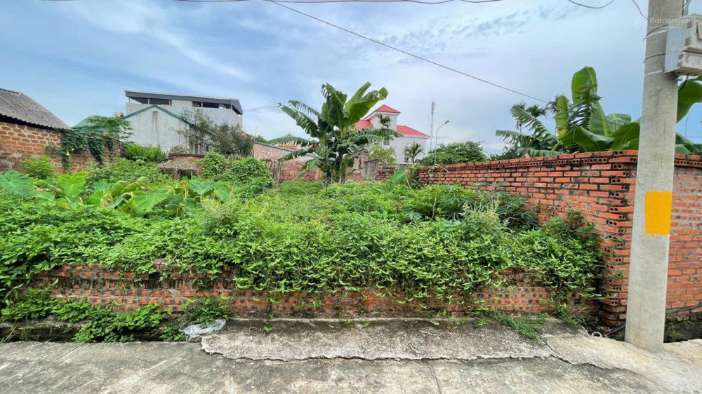 Cần Tiền Bán Mảnh Đất Gần Đại Lộ Thăng Long Mua Lâu Rồi Nay Bán Nhanh Giá 3 Tỷ, Gần Qh Vin 300Ha