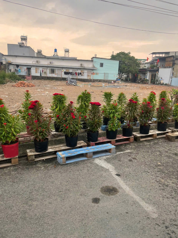 Hàng Fo Mới Ra Lò Đất 125M Mt Giá Chỉ 3.75 Tỷ – Quá Hiếm