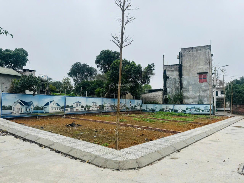 Bán Lô Phú Cát, Tâm Điểm Hạ Tầng Đón Sóng Hòa Lạc