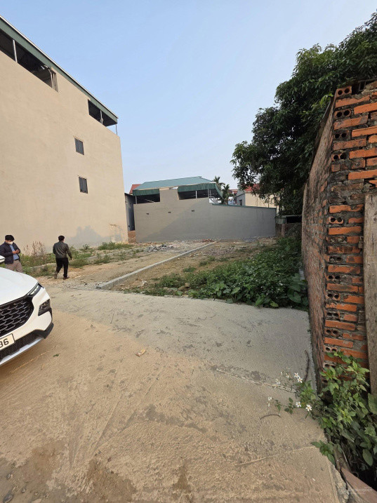 Cực Sốc Chủ Cần Tiền Bán Cắt Lãi 137M2 Đất Tân Xã, Hòa Lạc, Đường Ô Tô Tránh, 20M Ra Đường Đôi