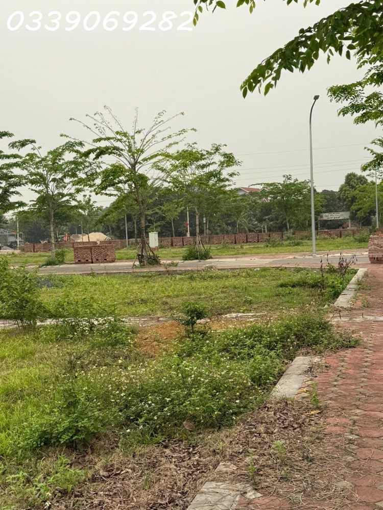 Tài Chính Chỉ Nhỉnh 1 Tỷ (Ngân Hàng Giải Ngân 1/2 Giá Trị) Thanh Lý Lô Đất 100M2 Gần Đại Học Quốc