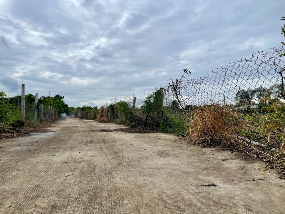 Cơ Hội Đầu Tư Siêu Hấp Dẫn - Cần Bán Gấp Đất – Giá Ngộp Hiếm Có Tại Sông Ray, Cẩm Mỹ