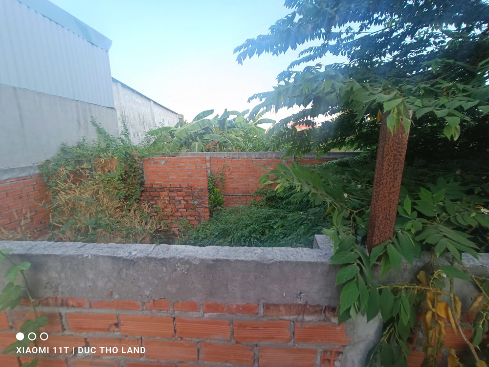 Bán Nhanh Đất Ngang >5M Nhỉnh 3Tỷ Hiếm Có Đường Tl14, An Phú Đông Gần Ngã Tư Ga