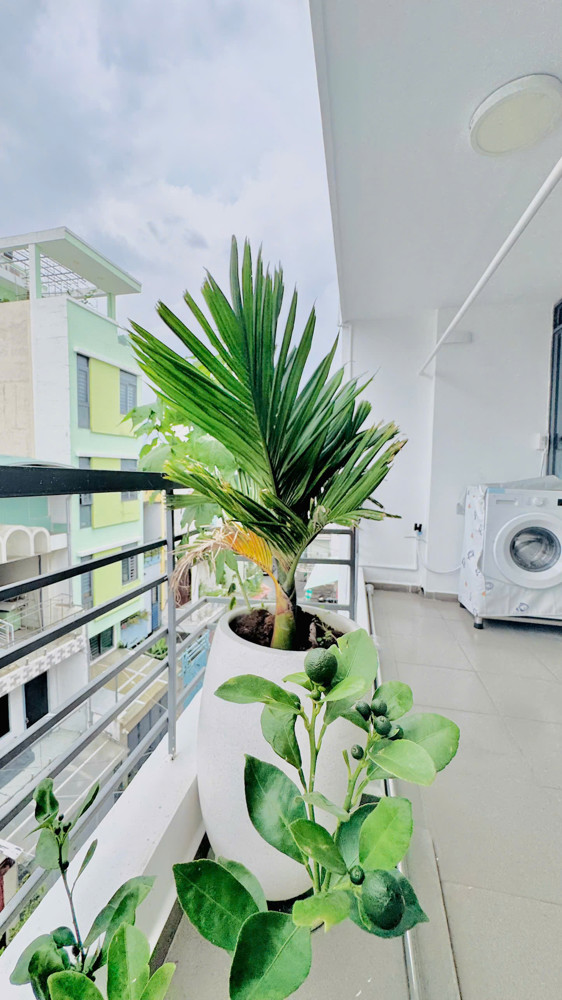 Bán Nhà Bình Thạnh, Hxh Nơ Trang Long, Mặt Tiền Xuyên Tâm, 6.5X21, Hdt 80Tr, 21.9 Tỷ