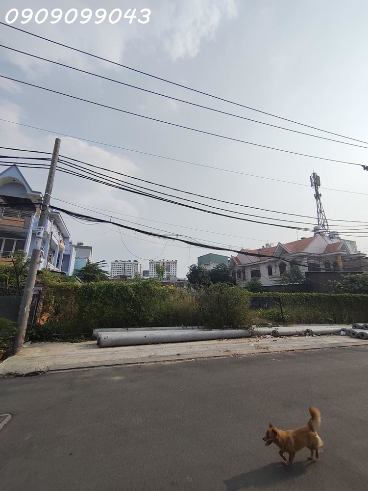 Đất Mt Đông Hưng Thuận – 1.058M², Ngang 19M Hiếm