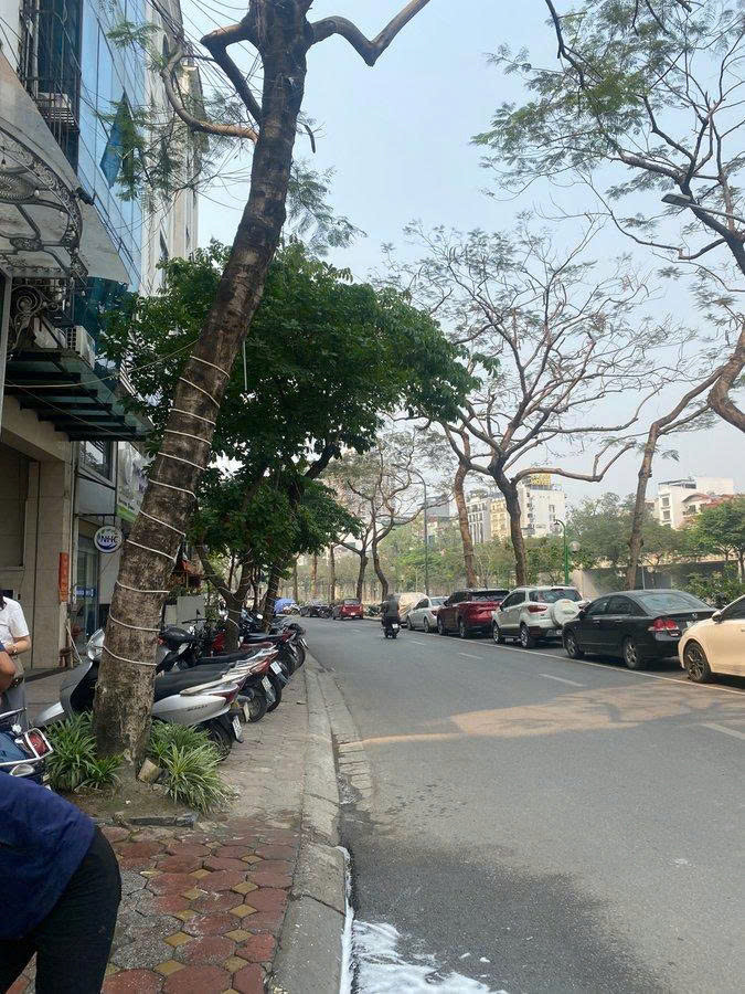 Cầu Giấy – Lô Đất 230M² Mặt Tiền 15M – Hàng Hiếm “Không Có Lần 2” – Giá Chạm Đáy Khu Vực