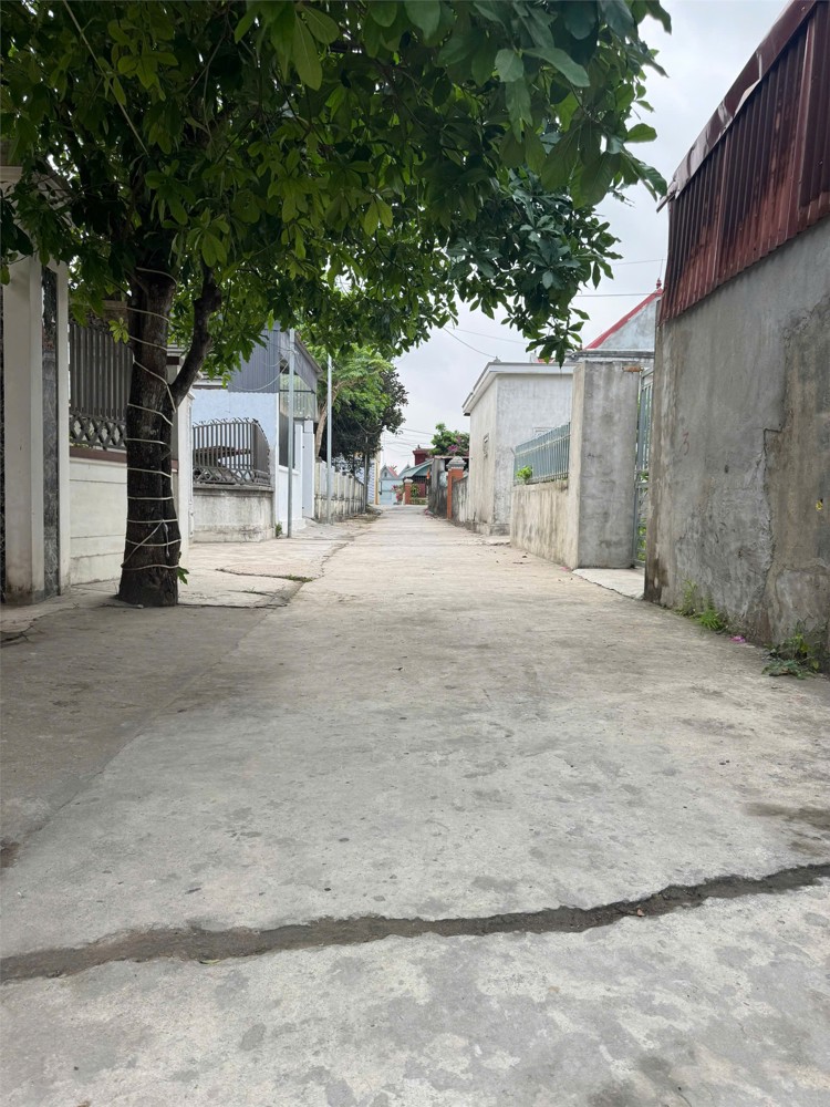 Siêu Phẩm 178,9M2 Việt Tiến, Đại Hợp – Ngang Khủng 10,45M – Sát Tái Định Cư