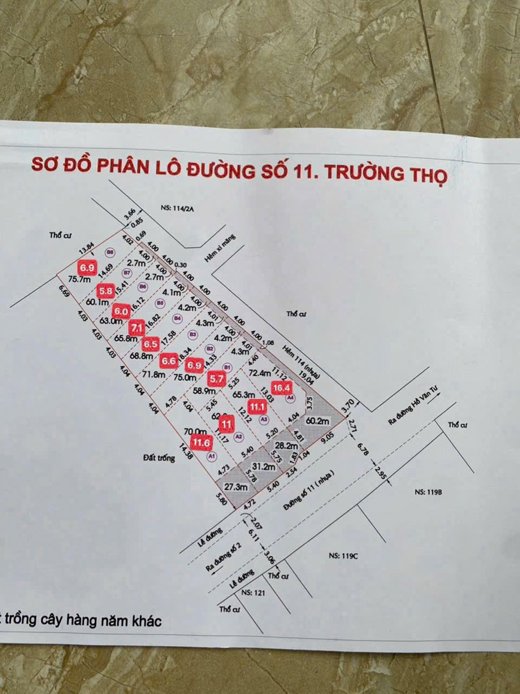 Bán 12 Lô Đất Mặt Tiền 114 Đường Số 11 - Trường Thọ - Thành Phố Thủ Đức