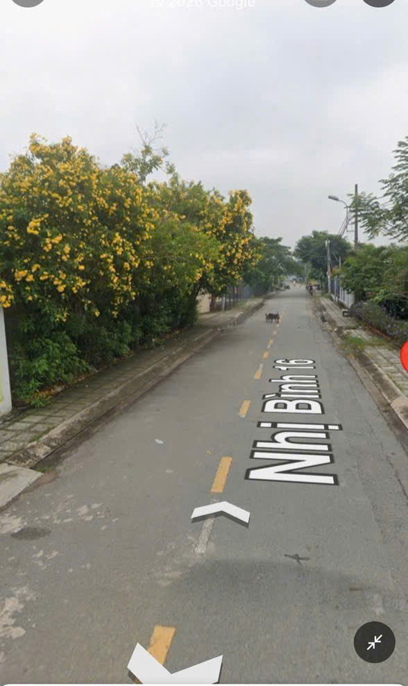 Xưởng Nhị Bình Đông Thạnh Hoàn Công Đầy Đủ – Đường Cont 8M – Giá Tốt